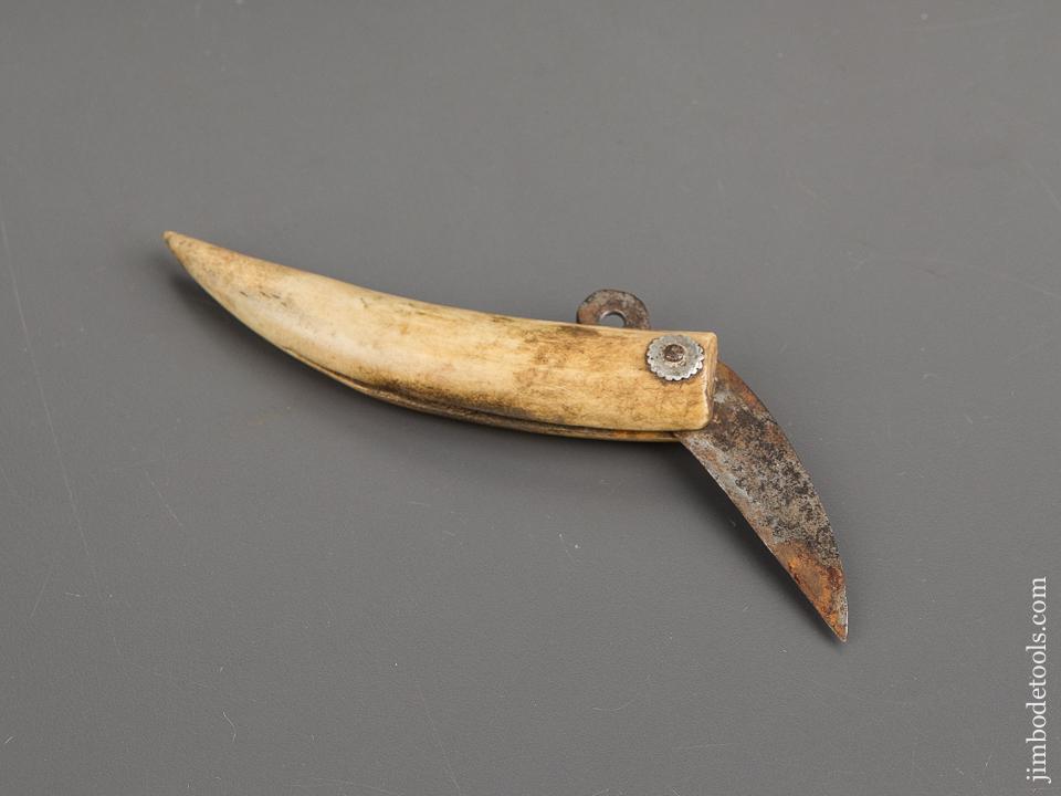 Unusual Bone Handled Fisherman's Knife - 81048R