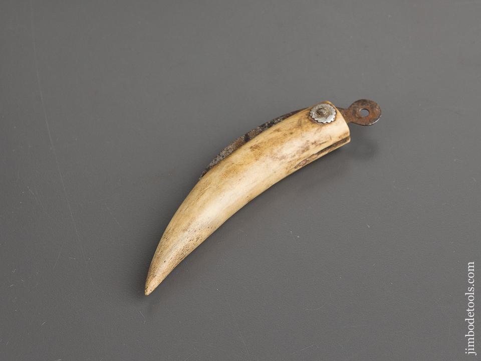 Unusual Bone Handled Fisherman's Knife - 81048R